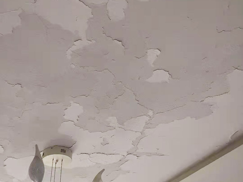 客廳天花板翻新：原有墻頂面有開發(fā)商粗略批蕩，局部肉眼就能看出凹凸不平的差距，有的施工隊(duì)為了趕工，施工方在做墻面找平時(shí)直接用膩?zhàn)佣鴽](méi)用石膏粉，省了一道程序，結(jié)果造成膩?zhàn)訉犹?而膩?zhàn)又荒芷鸬阶屍矫孀兊闷秸饣淖饔茫荒苡脕?lái)找誤差較大墻面的平整，所以膩?zhàn)诱移奖容^厚的地方就會(huì)陸續(xù)的脫落。 乳膠漆施工溫度低，未能形成連續(xù)的涂膜而龜裂，遇水即會(huì)脫落;基層疏松，有油污等污物，涂膜與基層粘附不好，造成剝落;基層批刮膩?zhàn)訌?qiáng)度低，膩?zhàn)訉游锤赏讣赐克⑷槟z漆;基層過(guò)于平滑，以造成涂膜附著力不好。剝落：防范：施工前先觀察一