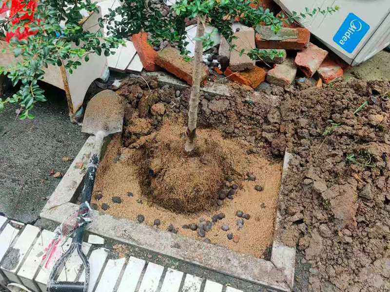 庭院植物底部防水：找到本來的防水層，由于防水層不是顯露的，是在面層下部，有必要將面層進(jìn)行悉數(shù)根除，找到本來的防水層。將原防水層根除以后，找平，將本來下部保溫層里存的水進(jìn)行排干，設(shè)一些排氣孔做排氣辦法，將保溫層里的水分排干。做完防水層以后，必定要做找坡處理，不要形成屋面部分存水，通常設(shè)置水泥砂漿找平找坡，找坡的斜度不小于3%。再進(jìn)行閉水實(shí)驗(yàn)，不漏水為合格，再進(jìn)行康復(fù)上面的維護(hù)及鋪貼面磚裝修。