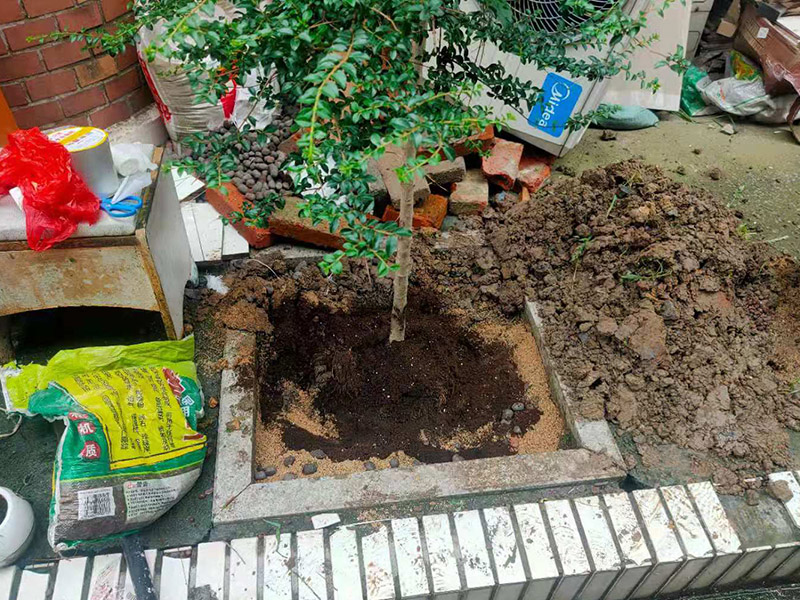 庭院植物底部防水：找到本來的防水層，由于防水層不是顯露的，是在面層下部，有必要將面層進(jìn)行悉數(shù)根除，找到本來的防水層。將原防水層根除以后，找平，將本來下部保溫層里存的水進(jìn)行排干，設(shè)一些排氣孔做排氣辦法，將保溫層里的水分排干。做完防水層以后，必定要做找坡處理，不要形成屋面部分存水，通常設(shè)置水泥砂漿找平找坡，找坡的斜度不小于3%。再進(jìn)行閉水實(shí)驗(yàn)，不漏水為合格，再進(jìn)行康復(fù)上面的維護(hù)及鋪貼面磚裝修。