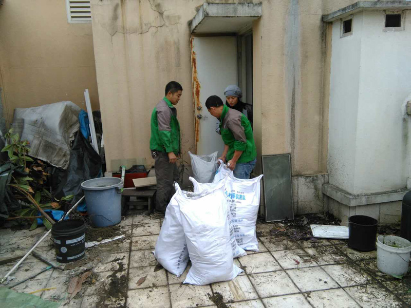 花園改造注意事項，警惕植物根系穿刺防